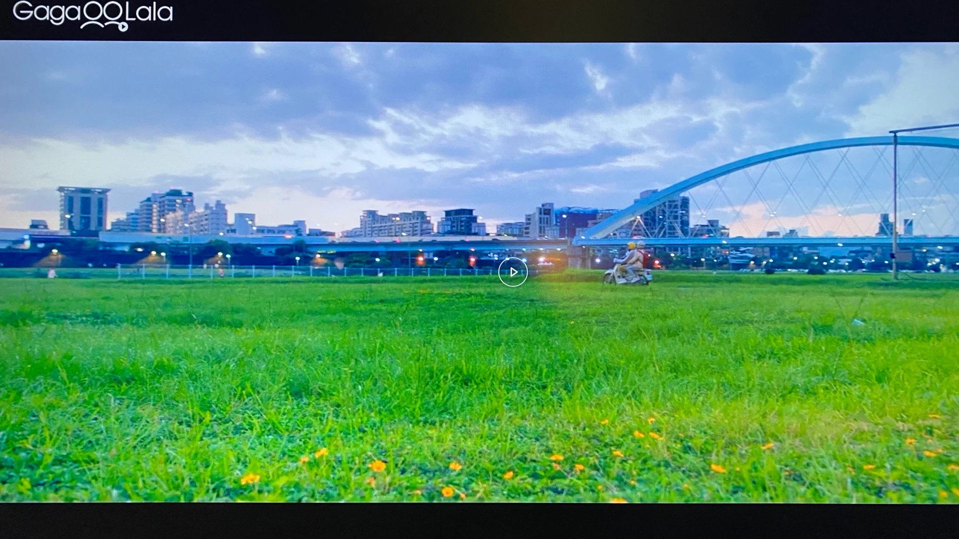 DNA Says Love You #3