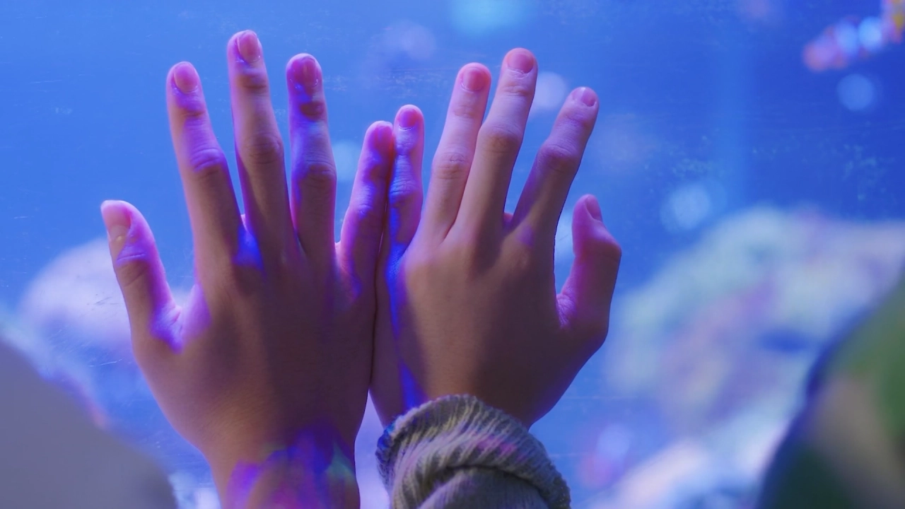 My school president #2