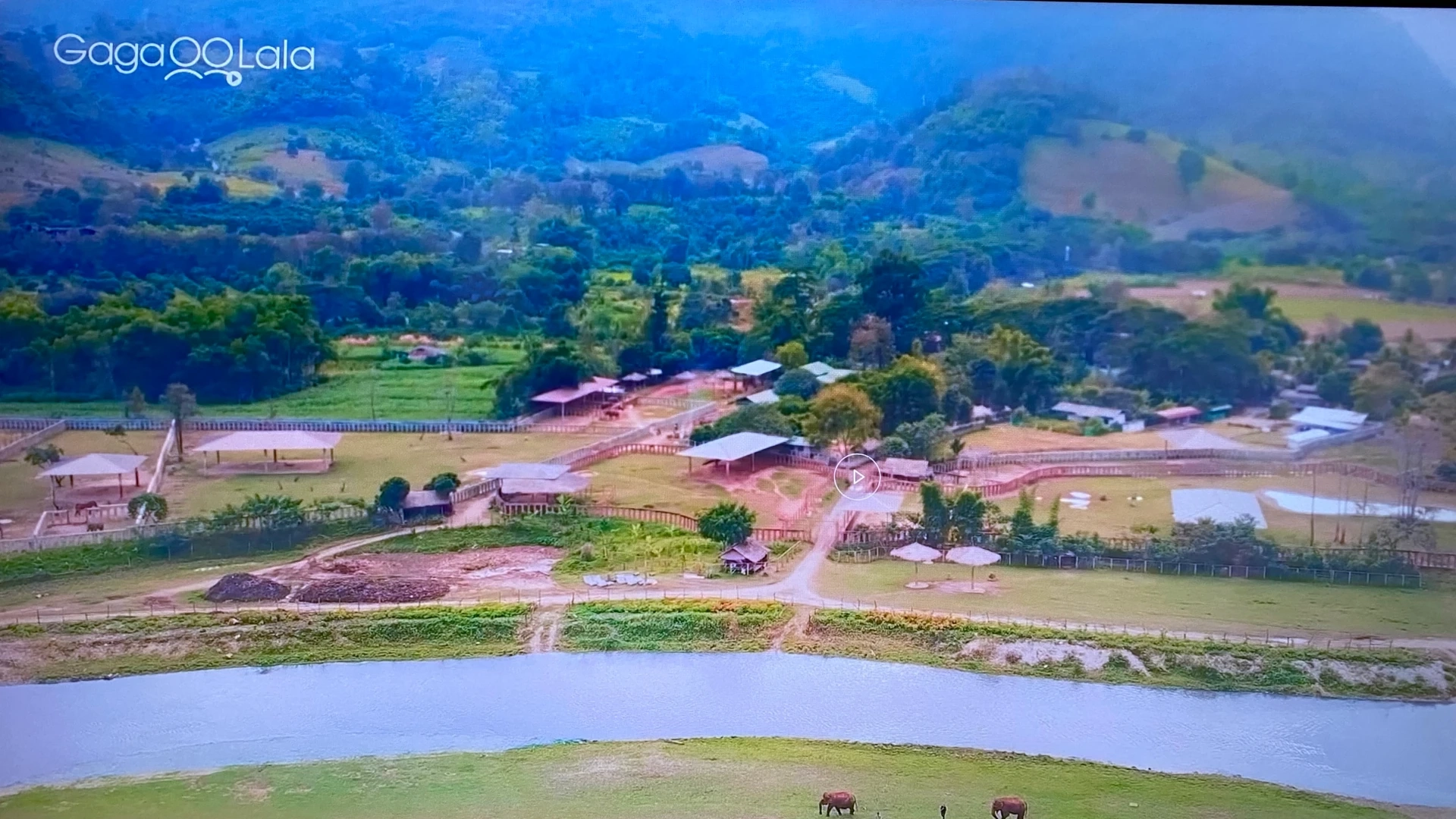 Lost in the Woods #2