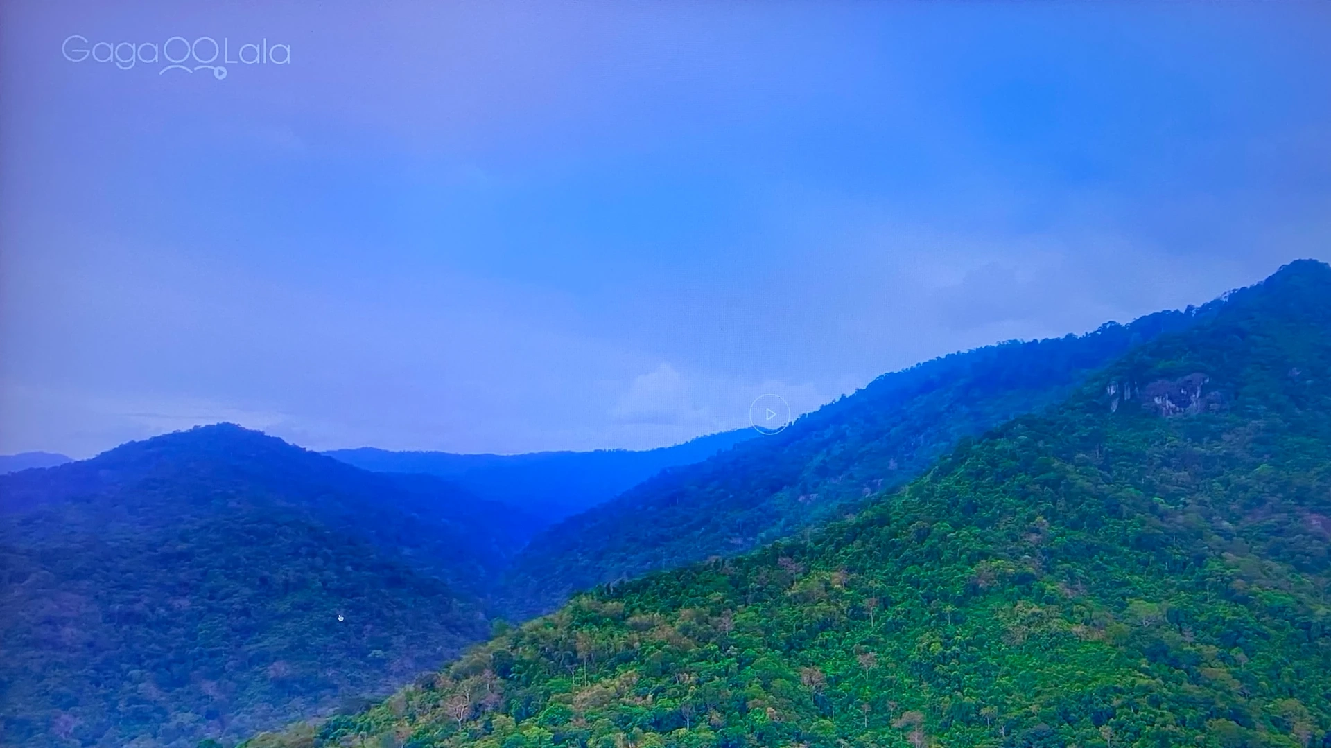 Lost in the Woods #3