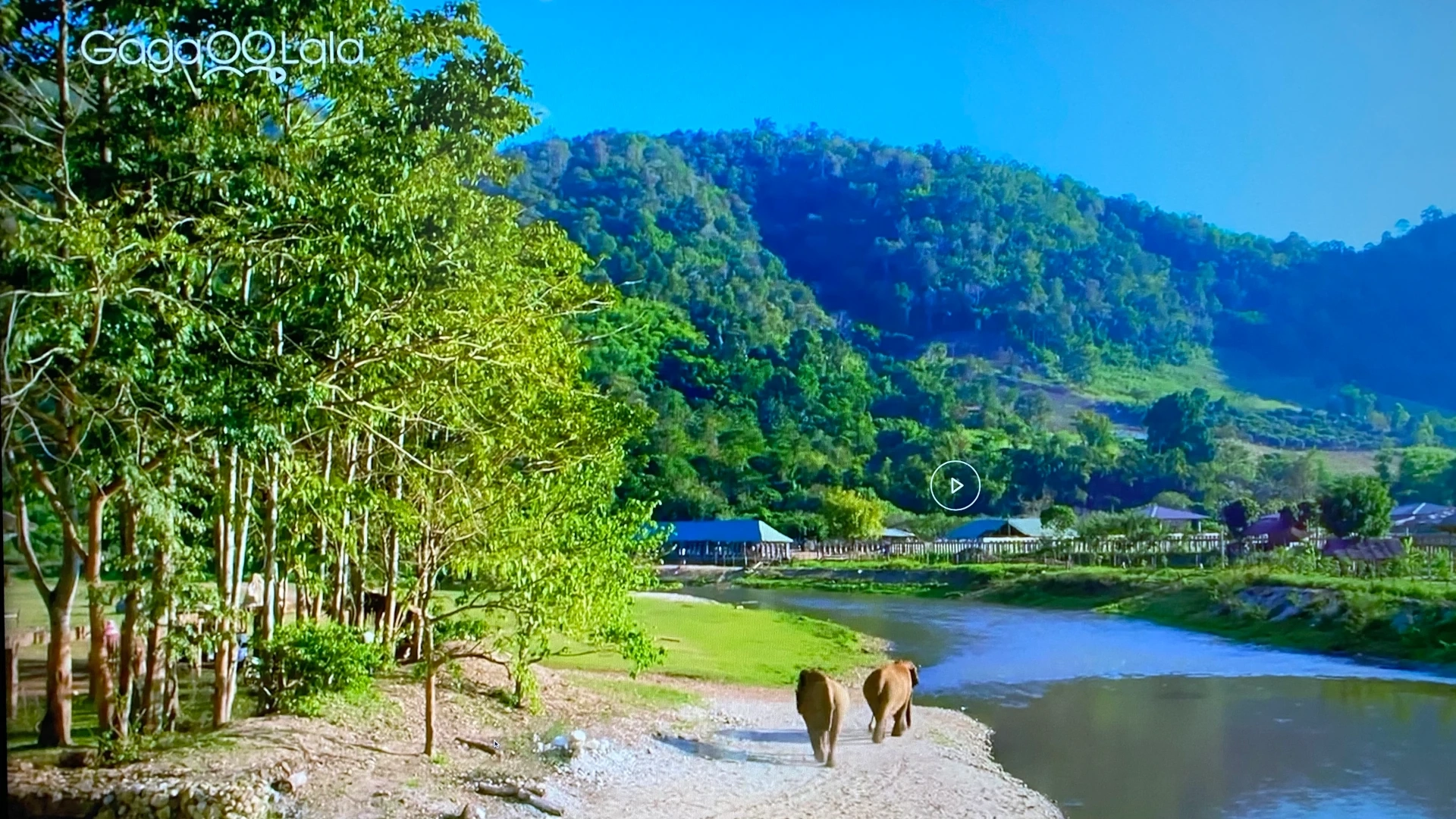 Lost in the Woods #4