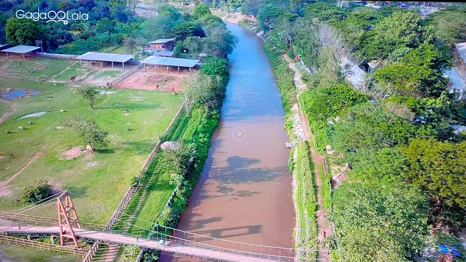 Lost in the Woods #5