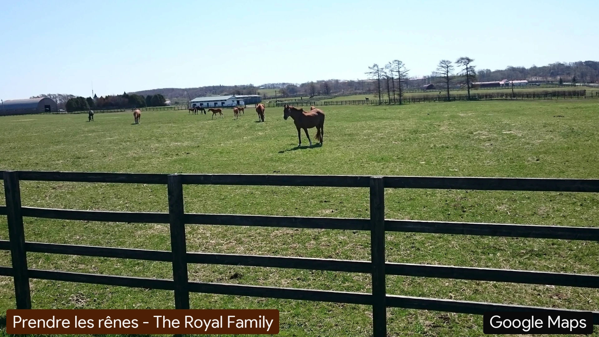 Prendre les rênes - The Royal Family #2