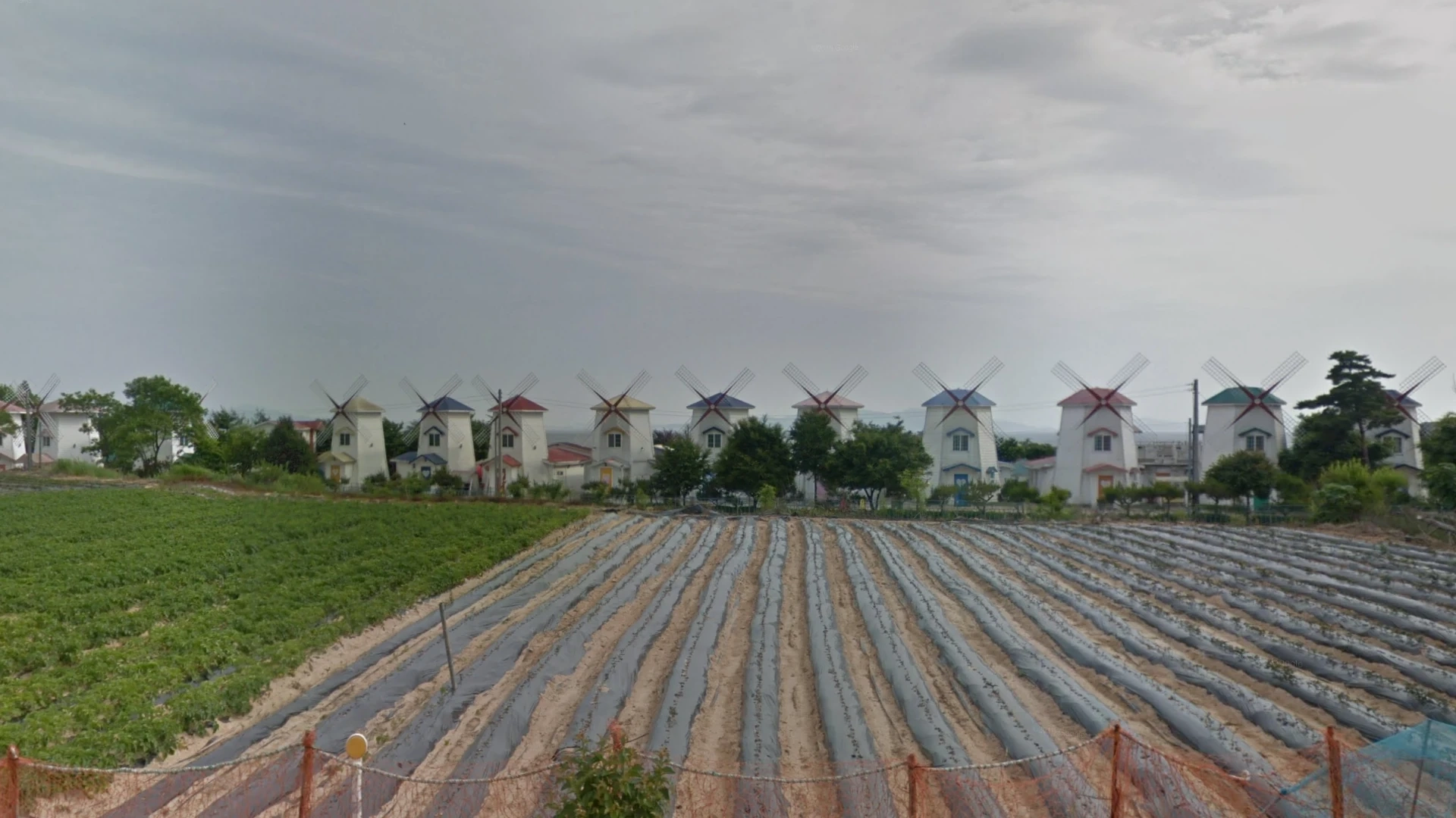 Roommates of Poongduck 304 #4