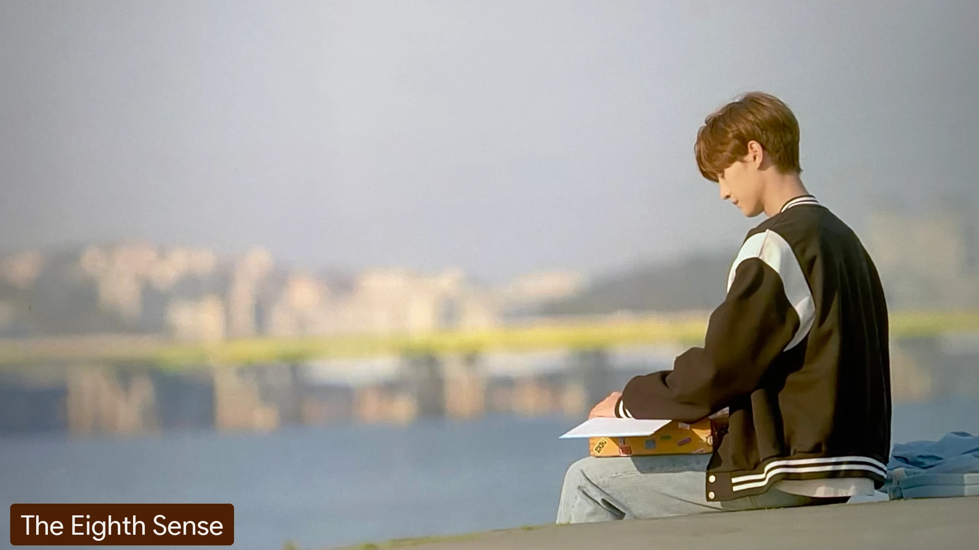 Banpo Hangang Park Picnic Area