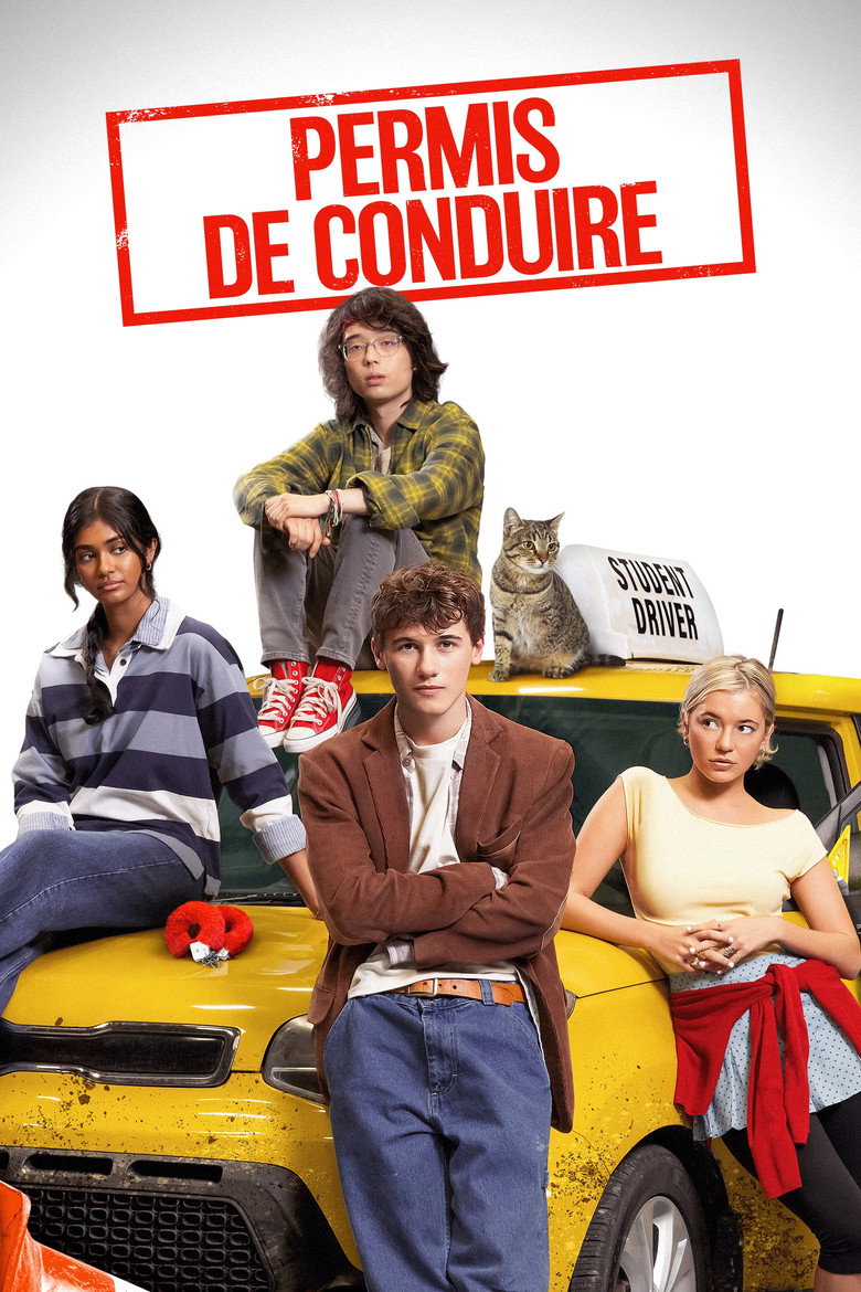 Permis de Conduire