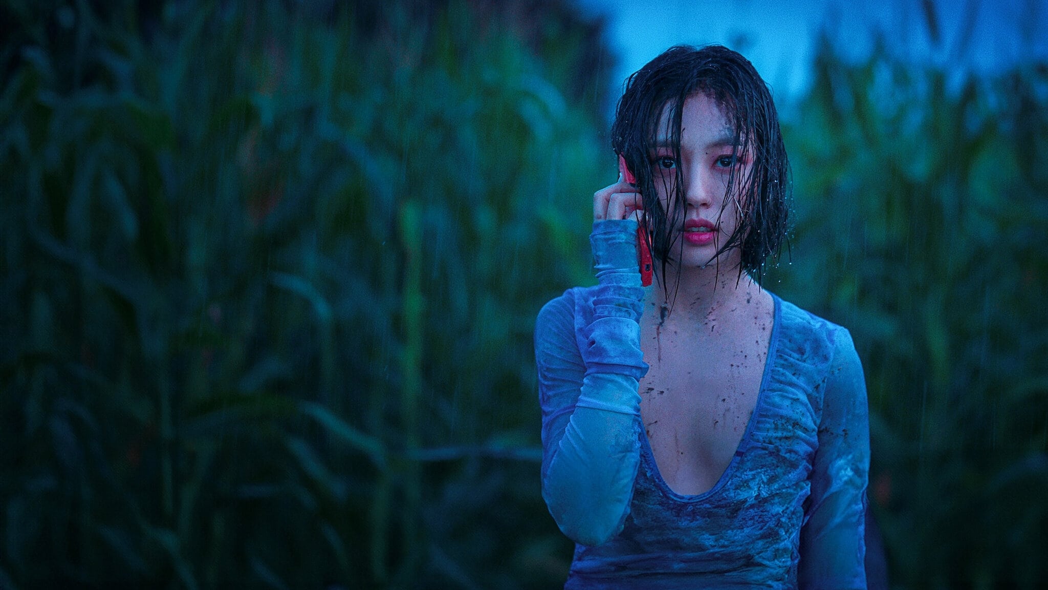 Les Silences de la forêt