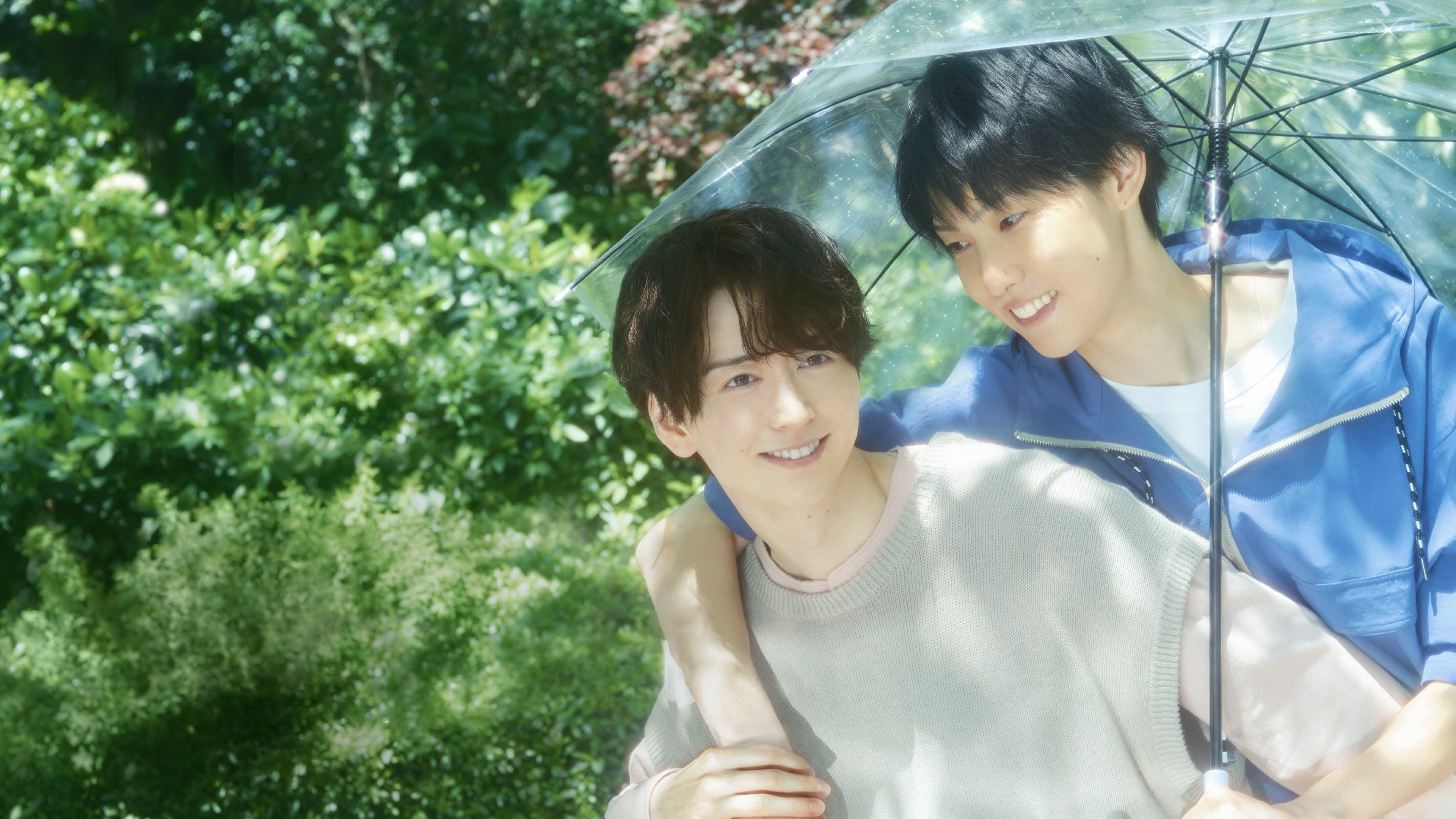 雨上がりの僕らについて